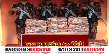 কুমিল্লায় বিজিবির অভিযানে ২ কোটি ৫৪ লাখ টাকার ভারতীয় অবৈধ পণ্য জব্দ